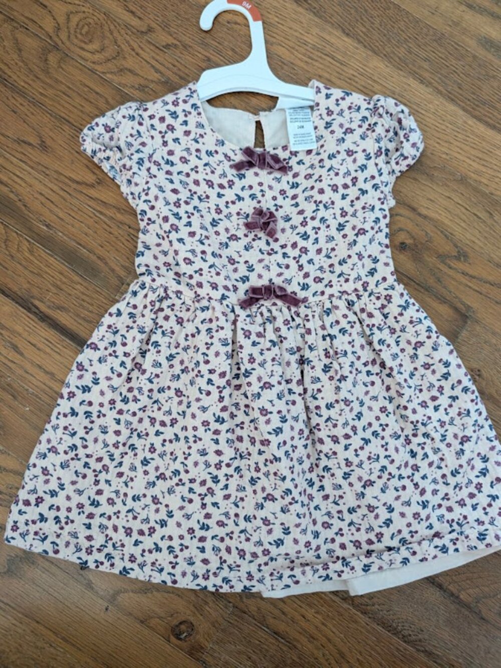 Nicole Miller Floral Dress for Girls 24mo